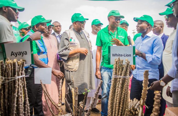 Federal Government Boost For Agric Business