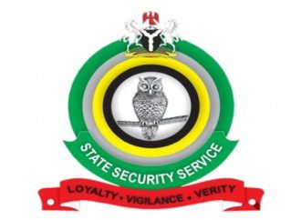 Leaked DSS Terror Alert Raises Questions Over Security Breach, Motives Behind Exposure