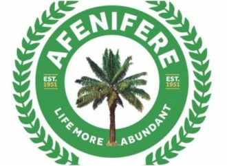 Afenifere Warns Against Full-Scale US Military Strikes To Tackle Nigeria’s Terrorism