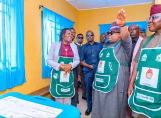 Investment In Healthcare in Osun, Yielding Results – S.A Public Health