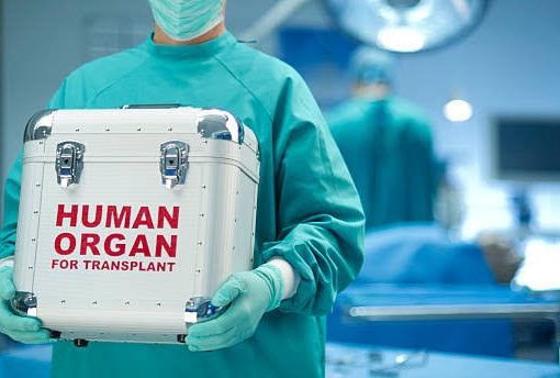 Lagos State Govt Signs Bill Banning Organ Transplantation, Harvesting, 4 Other New Bills Into Law