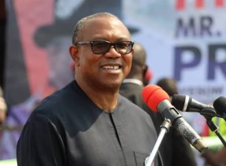 Peter Obi Has Gone From Top To Bottom, He’s A Disappointment’ – Kogbara
