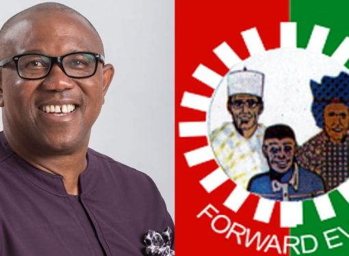 2027: There Is No Merger Agreement With The PDP,NNPP. – Peter Obi