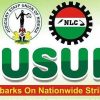 Federal High Court Workers Begin Indefinite Strike Over Unpaid Salary Increases