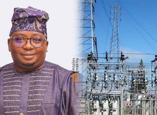 We Will Spend N8bn To Orientate Nigerians On Payment Of Electricity Bills – Minister