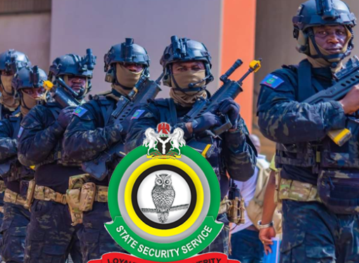 DSS Arrests Two Lagos Lawmakers Over Speaker’s Removal Controversy