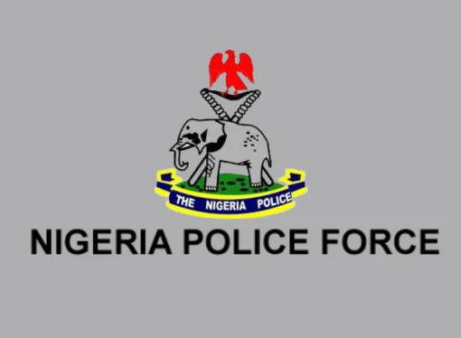 Ondo: Police Arrest 19 Over Owo Cult Killings