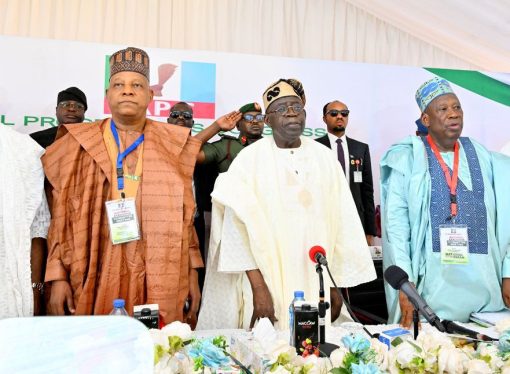 CUPP Slams APC For Hosting Caucus Meeting At Aso Villa