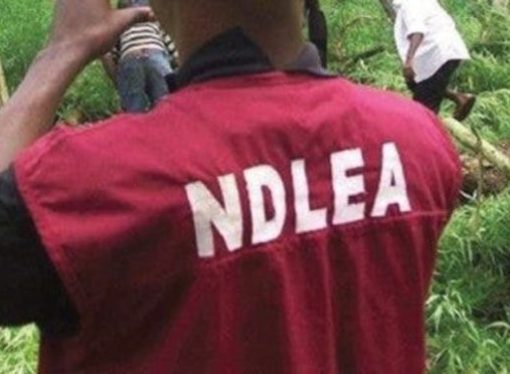 9.9 Million kg Illicit Drugs Seized, 57,792 Suspects Arrested – NDLEA