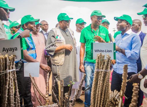 Federal Government Boost For Agric Business
