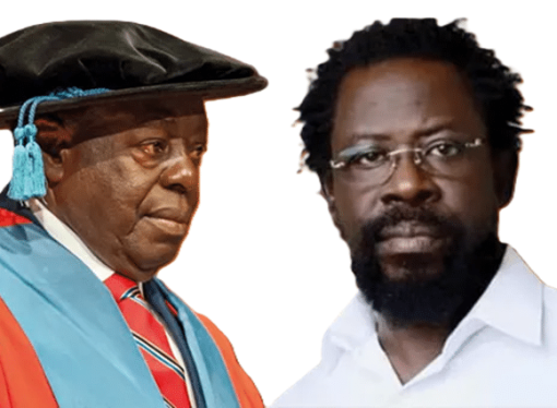 I’ll Salute Afe Babalola, But The Battle Isn’t Over – Farotimi