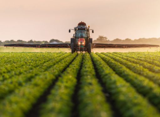 FG Reaffirms Commitment To Food Security With Agricultural Empowerment Program