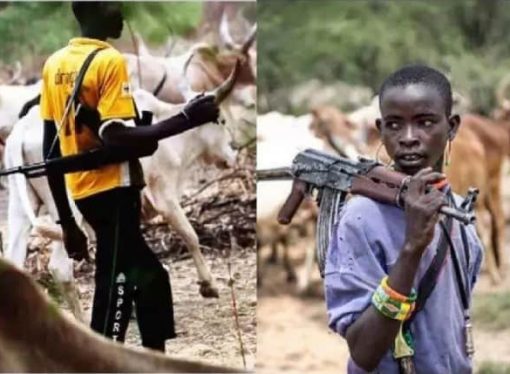 Over 20 Farmers Killed As Armed Assailants Attack Ondo Communities