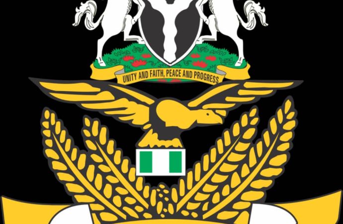 NAF Airstrikes Destroy Terrorist Camps in Katsina