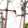 Ondo Electricity Workers Protest Alleged Interference in Board Administration