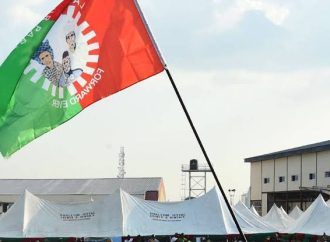 NLC Moves To Rebrand Labour Party, Seeks Coalition For 2027