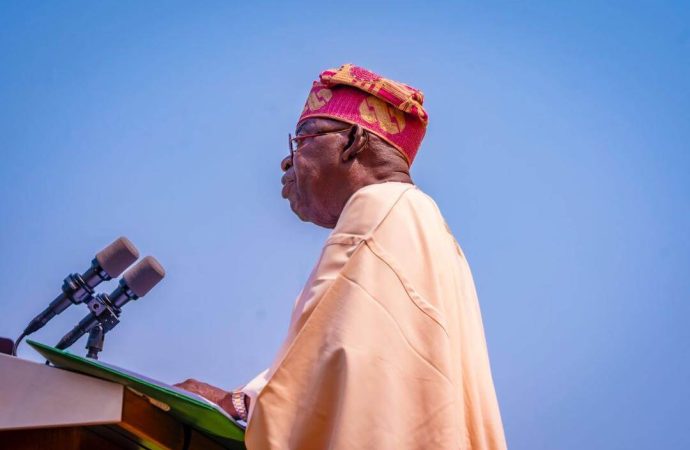 President Tinubu Grants Automatic Employment To 774 National Health Fellows