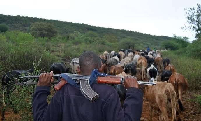 Tension In Benue As Suspected Armed Herdsmen Abduct 19, Youth Leader Killed In Makurdi