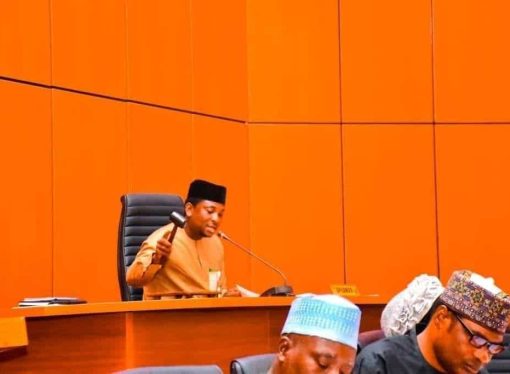 Niger Assembly Approves ₦151.7bn LG Budget as Rivers Budget Row Deepens Amid Political Tension