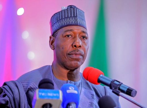 Tensions Rise as Borno Governor and FG Clash Over Resurgence of Boko Haram Attacks