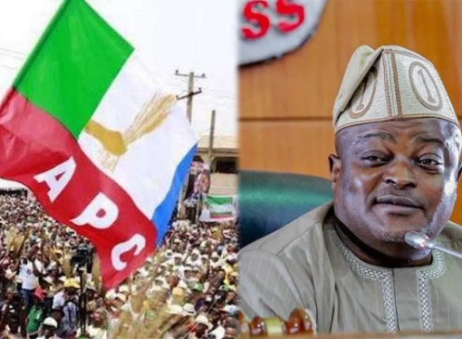 Lagos Council Election: Agege Vice Chairman Abiola Steps Down, For Obasa’s son
