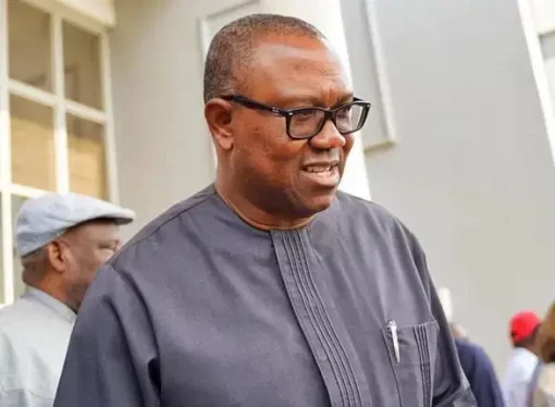 Adebayo Reveals Peter Obi’s Potential Move to SDP Ahead of 2027 Elections