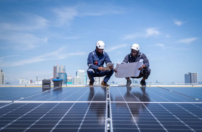 FG Pushes To Halt Solar Panel Imports, Advocates Local Production Amid N200bn Cost Concerns