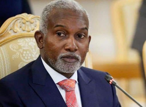 Nigeria Not Banned from Entering Saudi Arabia – Foreign Ministry Clarifies
