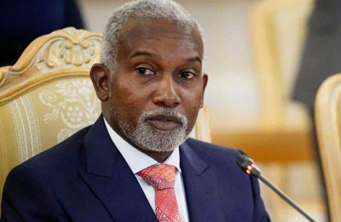 Nigeria Not Banned from Entering Saudi Arabia – Foreign Ministry Clarifies