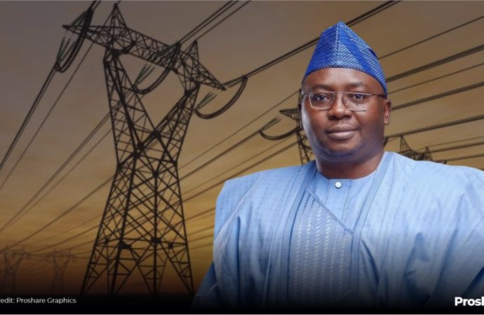 Roadmap To Power Sector Stability, Nigeria Needs $10 Billion Annually To Fix Power Sector – Minister Adelabu