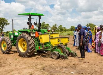 Farmers In Osun, Ekiti, And Ondo Raise Alarm Over Labour Shortage And Soaring Input Costs