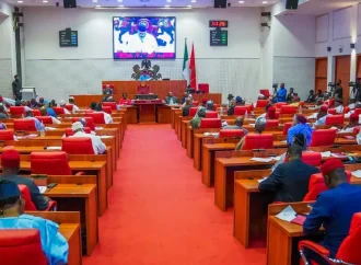 Senators Under Fire: Lawyers Demand 78% Salary Refund For ‘Poor Performance’