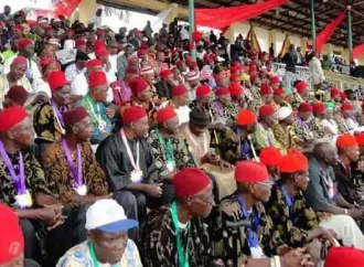 Ohanaeze Warns Tinubu: Dialogue, Not Defections, Key To 2027 Victory In Southeast