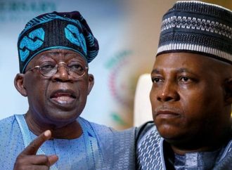Tinubu May Drop Shettima In 2027, Says President Struggles To Work With Deputies