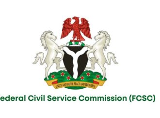 Over 450,000 Nigerians Apply For Less Than 10,000 Civil Service Positions