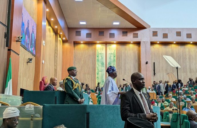 Presidency Apologizes for Error in Honoring Living Nigerian Icons