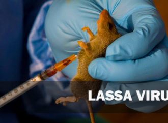 Lassa Fever Death Toll Hits 142 As NCDC Ramps Up Response In Nigeria