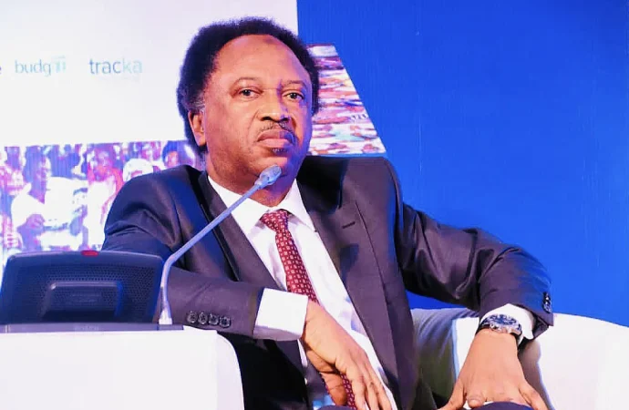 Shehu Sani Advocates For South-West Presidency In 2027 Opposition Bid