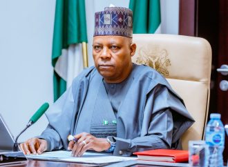 NEC Meeting: State Policing Takes Center Stage Amid Rising Insecurity As Shettima Presides Over NEC Meeting