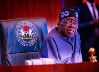 Presidency Clarifies Tinubu’s $24 Billion Loan Plan Amid Rising Debt Concerns