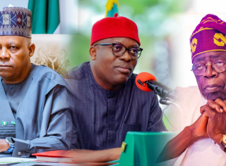 Shettima Criticizes Presidential Role In Fubara Removal Saga