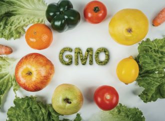 Nationwide Outrage As Nigerians Reject Pro-GMO Campaign On National Radio