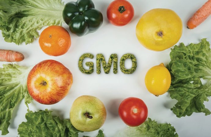 Nationwide Outrage As Nigerians Reject Pro-GMO Campaign On National Radio