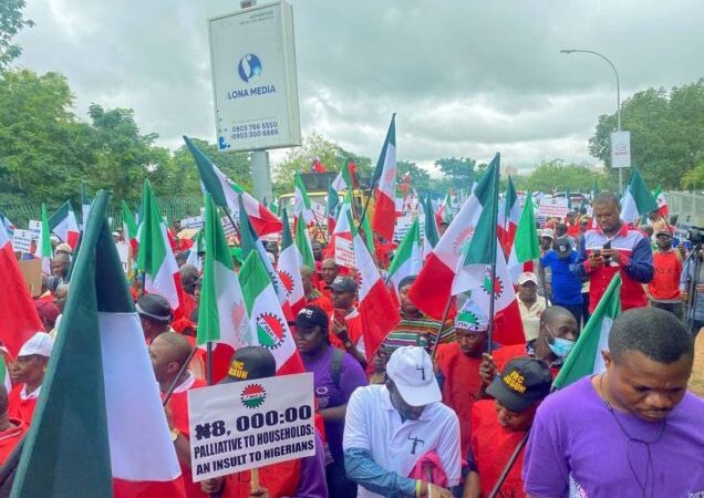 NLC Slams Government For Meddling In Union Affairs Amid New Labour Policy Rollout