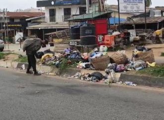 Scavengers Spreading Waste From Road Medians Worsen Environmental Problems