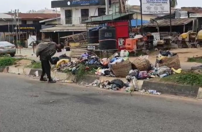 Scavengers Spreading Waste From Road Medians Worsen Environmental Problems