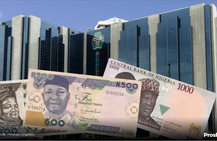 States Borrow N458bn In First Half Of 2025 Amid Soaring Debt Servicing Burden