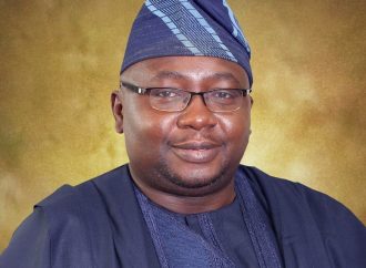 FG Secures N700 Billion For Mass Metering: Two Million Meters To Be Installed Annually For Five Years — Adelabu