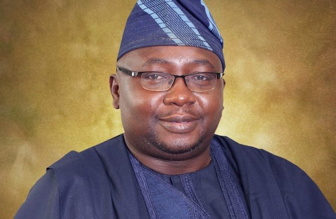 FG Secures N700 Billion For Mass Metering: Two Million Meters To Be Installed Annually For Five Years — Adelabu