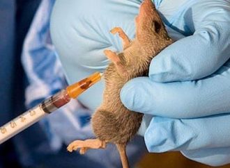 Lassa Fever Death Toll Rises To 177 – NCDC